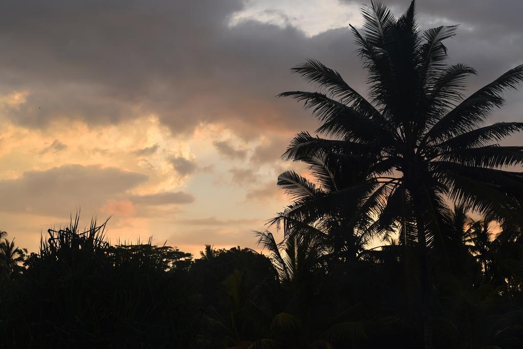 Bali Taman Sari Villas & Restaurant Pulukan Zewnętrze zdjęcie